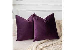 JUSPURBET Velvet Pillow Covers Set of 2 Decorative Throw Pillow Covers for Couch Sofa Bed Soft Cushion Covers Cases with Hidden Zipper for Living Room Home Decor 18x18 inch,Eggplant Purple