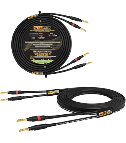 Amazon.com: WORLDS BEST CABLES 3 Foot WBC-GOLD-LOCAP-SPKR-12 AWG