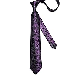 DiBanGu Silk Paisley Ties for Men Woven Necktie and