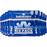 Below Zero Prefilled Reusable Ice Packs for Coolers | Long Lasting Freezer Ice Blocks for Camping, Lunch Bags & More | 48 Hour Cooler Ice Pack Technology