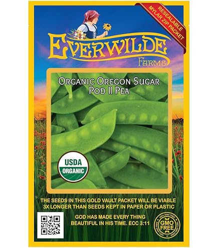 Bloomsdale Spinach Seeds - 500 Seeds, Heirloom, Open Pollinated, Everwilde Farms (2024)