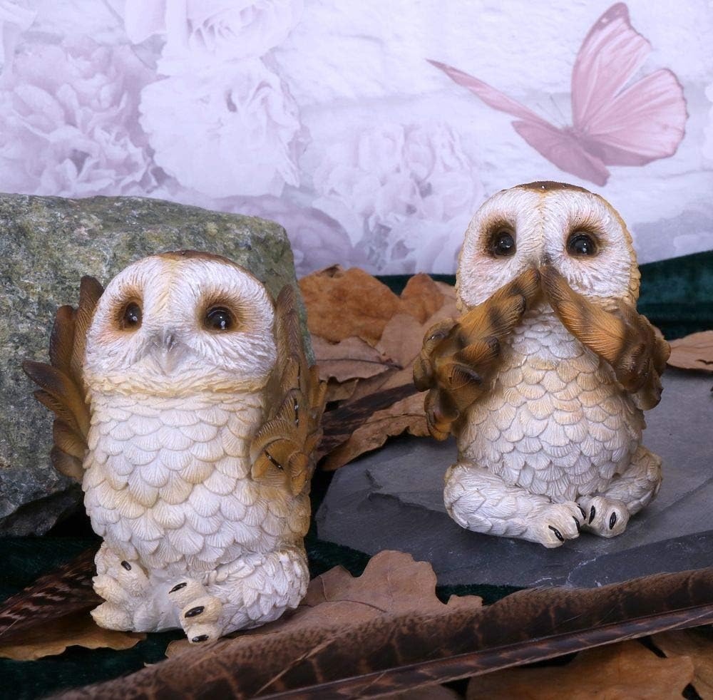 Nemesis Now Three Wise Brown Owls Figurines 7.5cm - Image 3