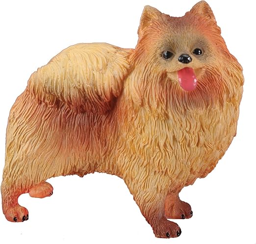 pomeranian amazon