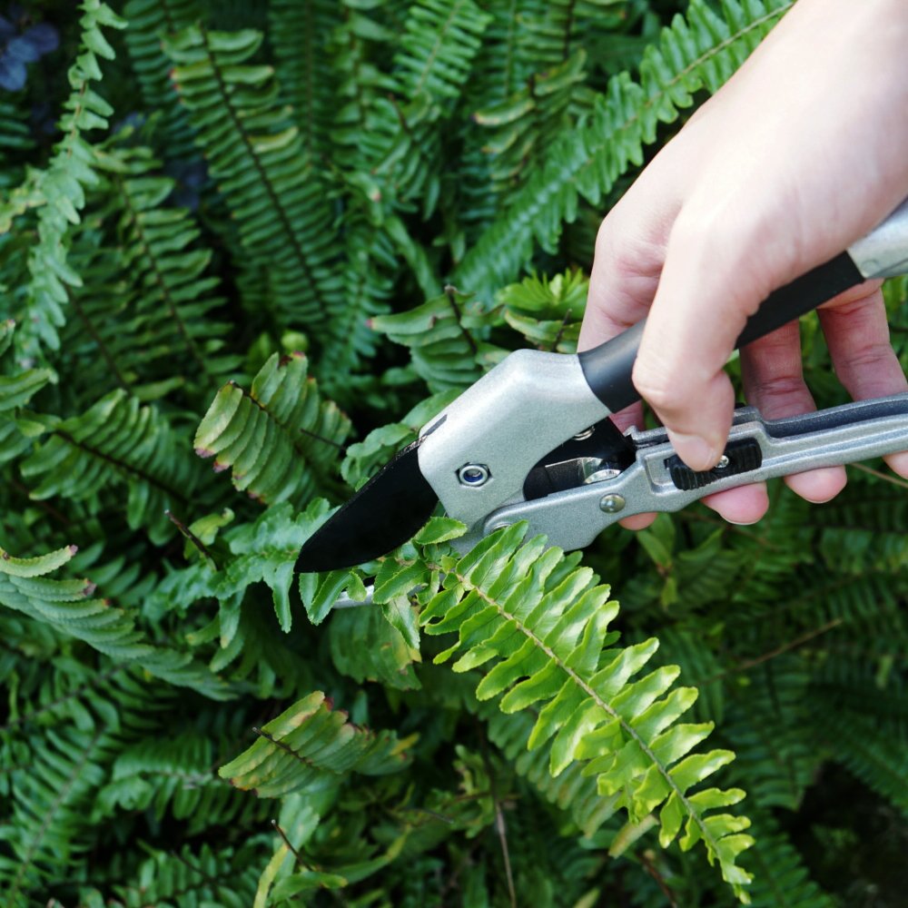 TGY Professional SK5 Steel Pruning Shears Anvil Hand Pruners Garden