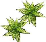 Artificial Magnolia Plants, Fake Agave Shrubs Faux