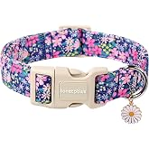 Lionet Paws Floral Dog Collar- Cute Spring Wildflowers Daisy Fleabane Dog Collars with Plastic Buckle, Light Adjustable Dog Collars for Small Medium Dogs