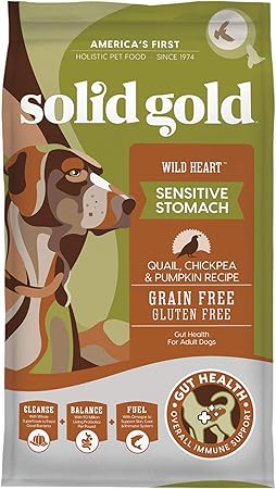 dorwest roast dinner toothpaste