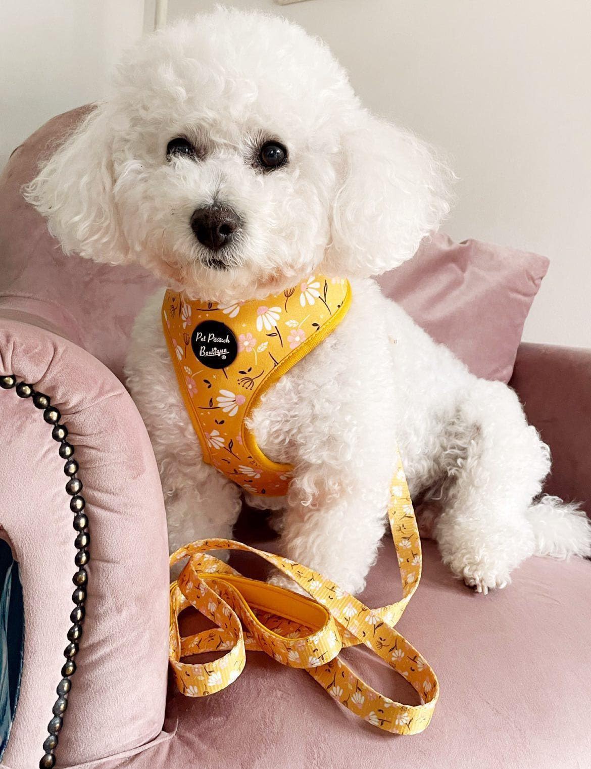 Sunshine Daisy Dog Harness S