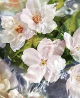 Guerlain Aqua Allegoria Flora Cherrysia EDT Spray 125ml Unisex Fragrance view 3