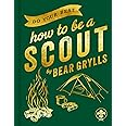 Do Your Best: How to be a Scout