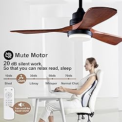 BOJUE 42 Inch Black Ceiling Fans with Lights and