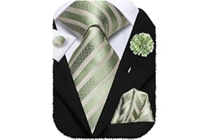 Hi-Tie Ties for Men Silk Mens Ties and Flower Lapel Pin Pocket Squares Cufflinks Set Formal Necktie for Wedding Business
