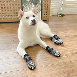EXPAWLORER Anti Slip Dog Socks to Prevent Licking