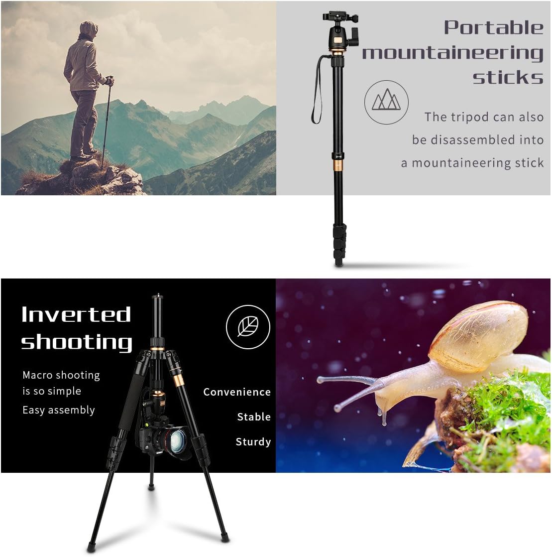 AFAITH Tripod for DSLR Camera, Ultra Compact and Lightweight Aluminum Travel Tripod with 360 Panorama Ball Head Quick Release Plate for Canon, Nikon, Sony, Samsung, Olympus, Panasonic : Camera & Photo