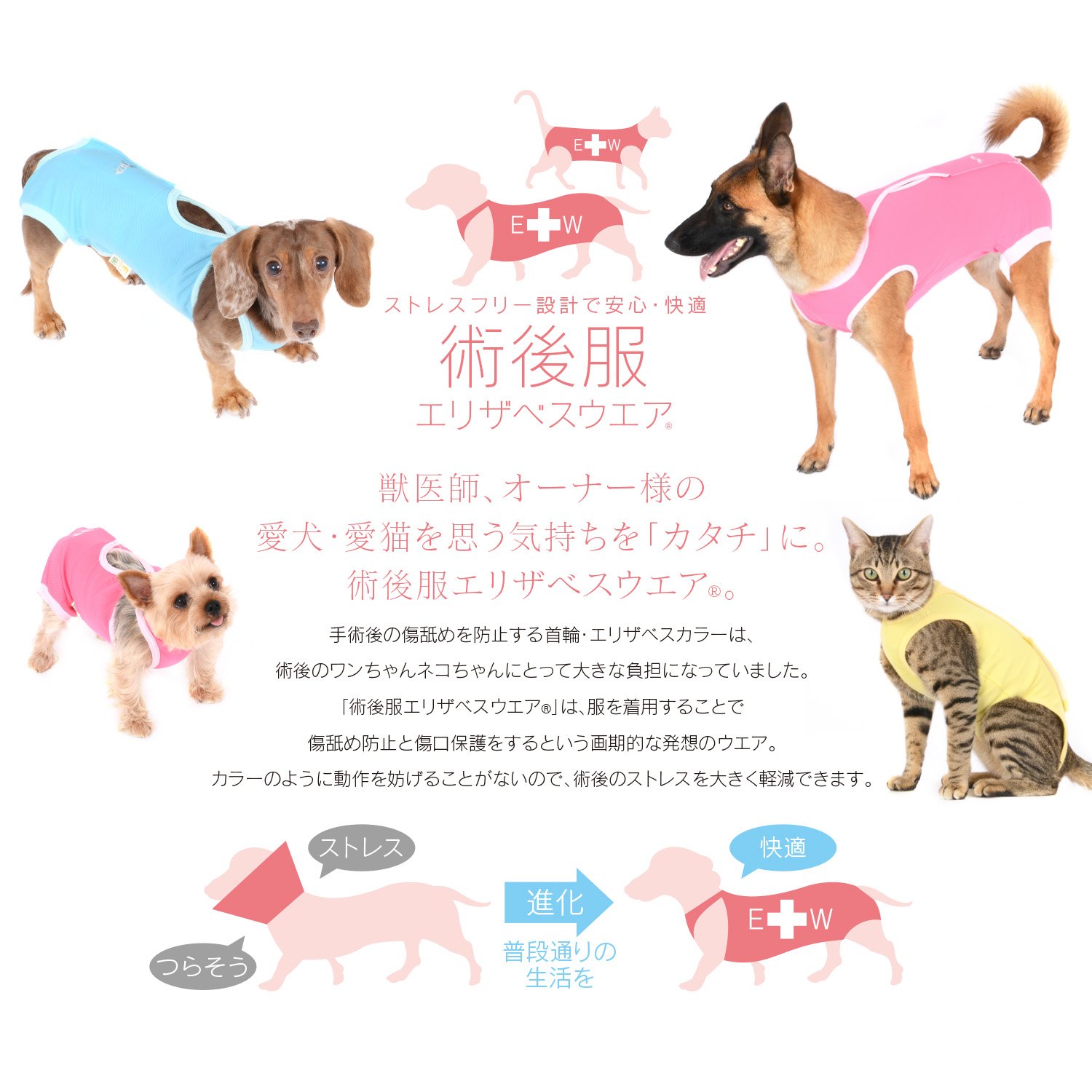 Mua Elizabethan Collar Alternative Post Surgery Clothing R Girls Females Dachs Small Dogs Tren Amazon Nhật Chinh Hang 21 Fado