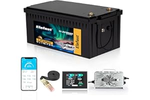 ELEFAST 48V Lithium Battery Golf Cart,48V 100AH Golf Cart Batteries with 58.4V 18A Charger and LCD Touch Monitor,Built-in Smart 200A BMS and Bluetooth,Peak Current 600A,Perfect for Ezgo,Yamaha,Club Car