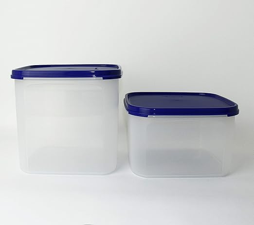 Tupperware Color Azul Oscuro 1 x 1,2 L Recipiente hermético