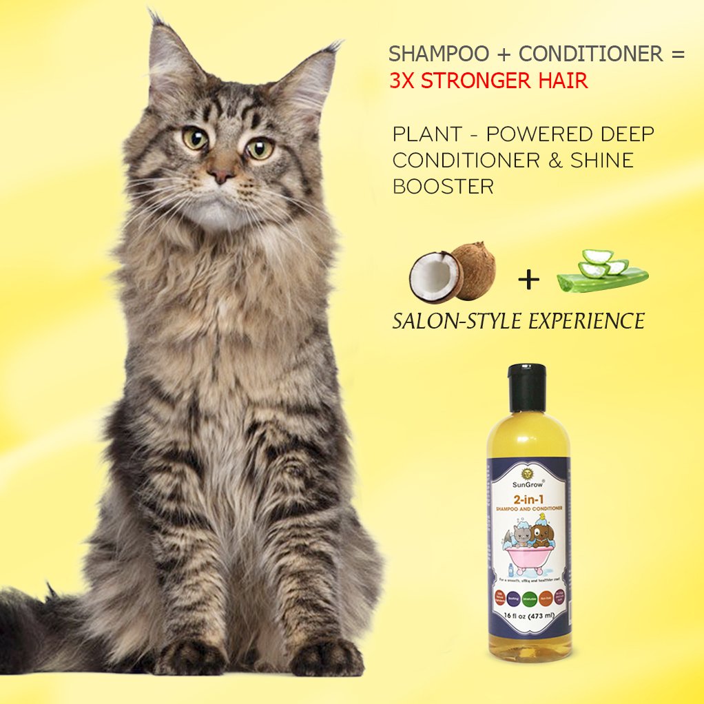 SunGrow Vet Trusted 2-in-1 100% Organic, Medicinal Pet Shampoo Plus Conditioner for Cats/Dogs, Deodorizes, Moisturizes and Improves Coat/Fur Enriched with Aloe Vera/Coconut