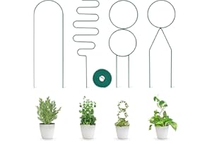 CEED4U 4 Pcs Small Garden Trellis for Potted Plants, Mini Metal Trellis for Climbing Plants Indoor, Plant Support Trellis with Different Patterns for Hoseplant Monstera Hoya Flower, Green