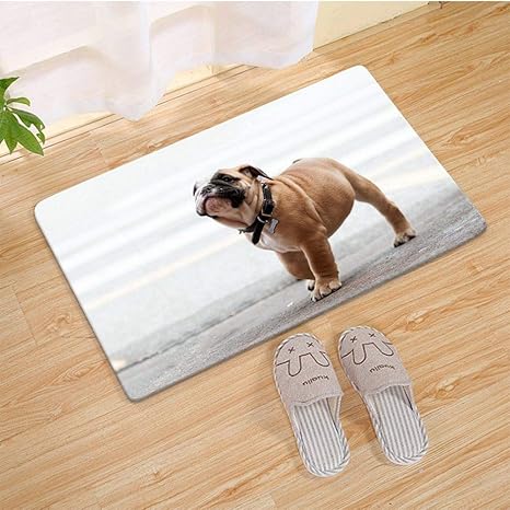 Amazon フロアマット バスマット サイズ 40cmx60cm 犬ブルドッグ犬の首輪散歩 玄関マット トイレマット 足ふきマット 滑り止め加工 家庭用 消臭 抗菌 強い吸水 速乾性 お風呂マット カーペット 玄関マット オンライン通販