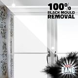 Cillit Bang Black Mould Remover Spray 750ml Pack of 12 view 2