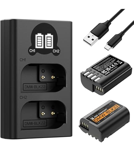 Amazon.com : Kastar 2-Pack DMW-BLK22 Battery Replacement for