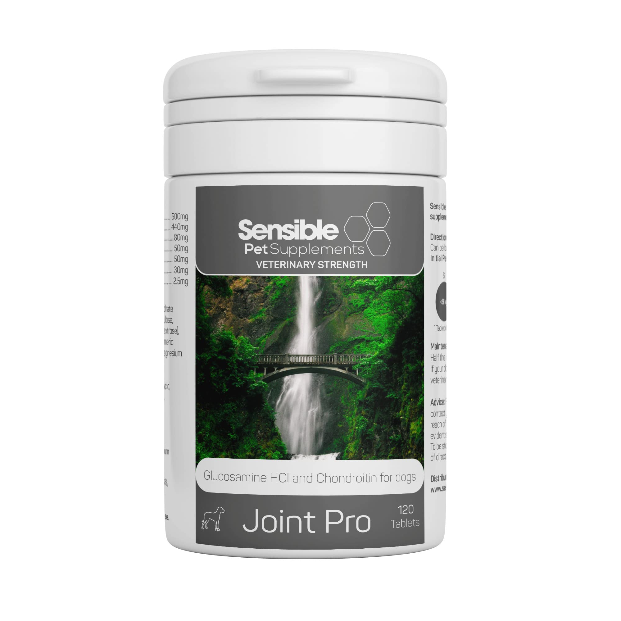 Sensible Pet Supplements 'Joint Pro' | Daily joint supplement for medium and large dogs | Contains Glucosamine, Chondroitin, Turmeric and Boswellia Extract. | 120 Chewable Tablets