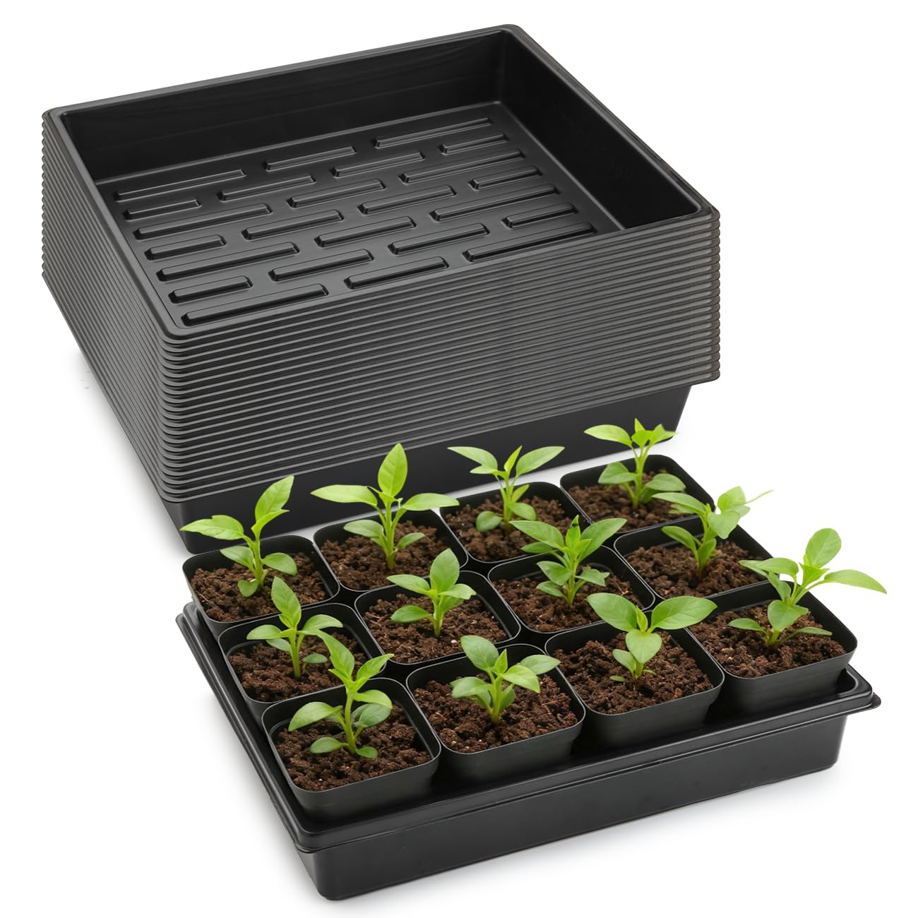RooTrimmer 20 Pack Nursery Pots Trays (16.5"x13.2"x2.8"), Plastic Seed Starter Trays, Durable Carrying Seedling Starter Tray, Reusable Tray for Planting and Collecting Drainage Water (Black) Image