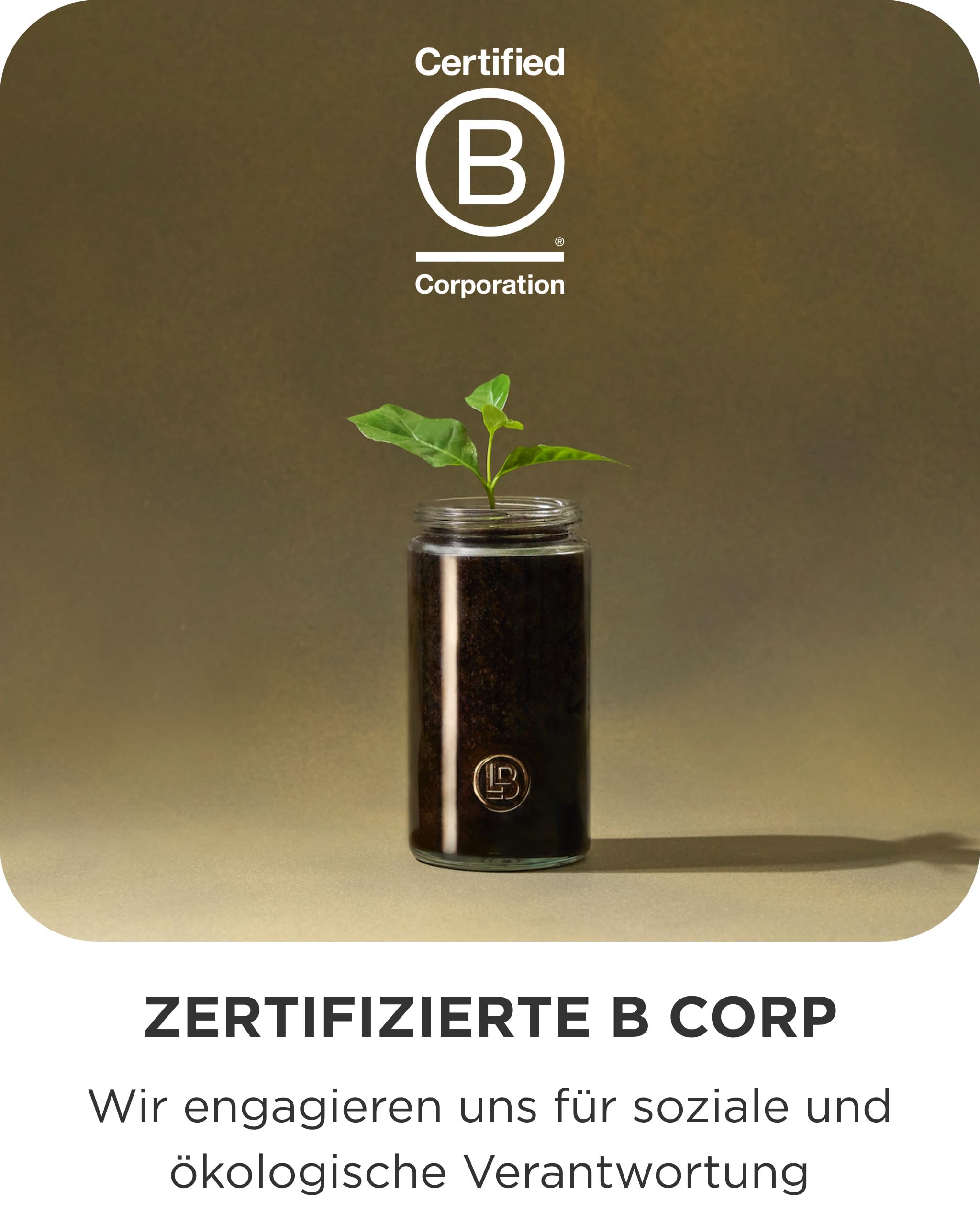 LAKRIDS BY BÜLOW - Sour Strawberry - 295g - Rote Lakritze umhüllt von Weißer Schokolade, sauren grünen Erdbeeren und einer knusprigen Zuckerhülle 8