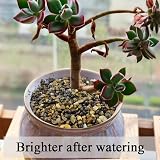 FANTIAN 4 lbs Fish Tank Gravel 4-8 mm Natural Aquarium Pea Gravel view 7