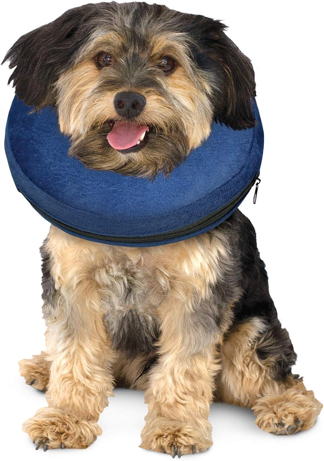 calm paws protective collar reviews