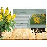 Outsidepride Wild Senna Seeds - 100 Pcs. Perennial, Low Maintenance &amp; Pollinator Friendly, Herb Seeds for Planting Tall, Vibrant Yellow Blooms for Garden Beds, Borders &amp; Wildflower Meadows