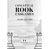 Conceptual Rook Endgames: Grandmaster Knowledge