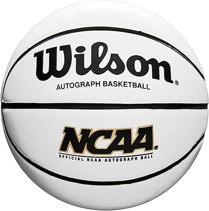 wilson evolution basketball amazon