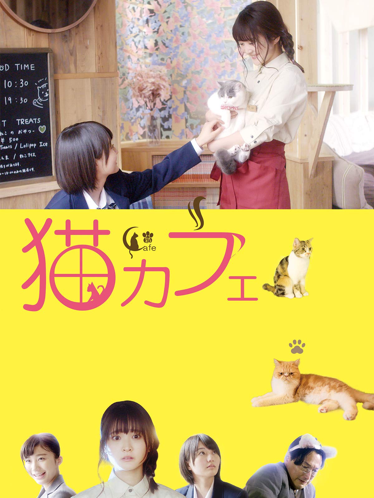 Amazon Co Jp 猫カフェを観る Prime Video