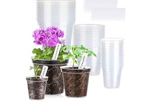 ABLY Transparent Plant Nursery Pot,30 Packs 3/4/5 inch Seedling Pot with Drainage Holes, Used for Planting Flowers, Seed Startup Pot, Comes with 30 Plant Labels