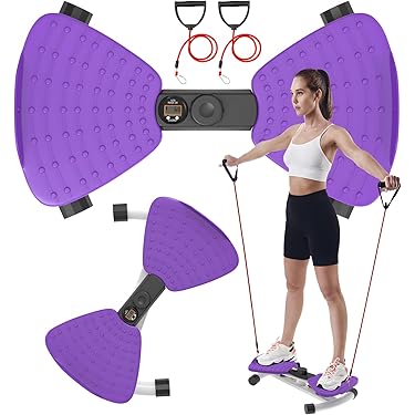 Pushup Board Magnet Massage Twist Disc Waist Twisting Disk With