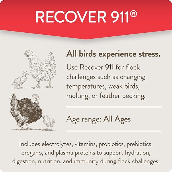 FLOCKLEADER RECOVER 911, SEVERE STRESS PROBIOTIC WATER SUPPLEMENT FOR CHICKENS WITH ELECTROLYTES, PREBIOTICS & OREGANO, MOLTING, EXTREME WEATHER, AND PREDATOR ATTACK SUPPORT, 8 OZ