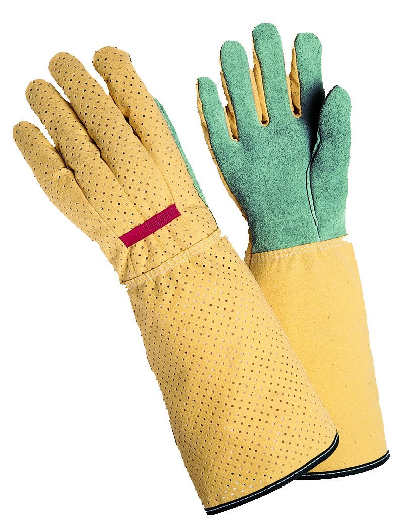 Best Mechanix Garden Gloves Women
