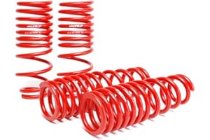 Skunk2 Racing 519-05-1480 Lowering Spring for 1992-1995 Honda Civic/del Sol