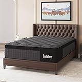Duchessz Queen Mattress, 14 Inch Hybrid Mattresses