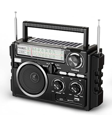 Amazon.com: Zunate Retro AM FM Radio, Shortwave Portable Vintage