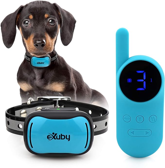 dog breeds and photos