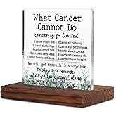 What Cancer Cannot Do Cancer Support Gift Clear Desk Decorative Sign, Inspirational Gifts for Cancer Fighter Patients, Breast Cancer Warrior Sympathy Gift Acrylic Plaques with Wooden Stand TZF29