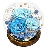 FIACO Valentines Day Gifts for Her Preserved Flowers in Glass Dome Long-Lasting Eternal Roses Birthday Gifts for Women Mom Grandma Wife Girlfriend Her Girlfriend Forever Flowers for Delivery Prime