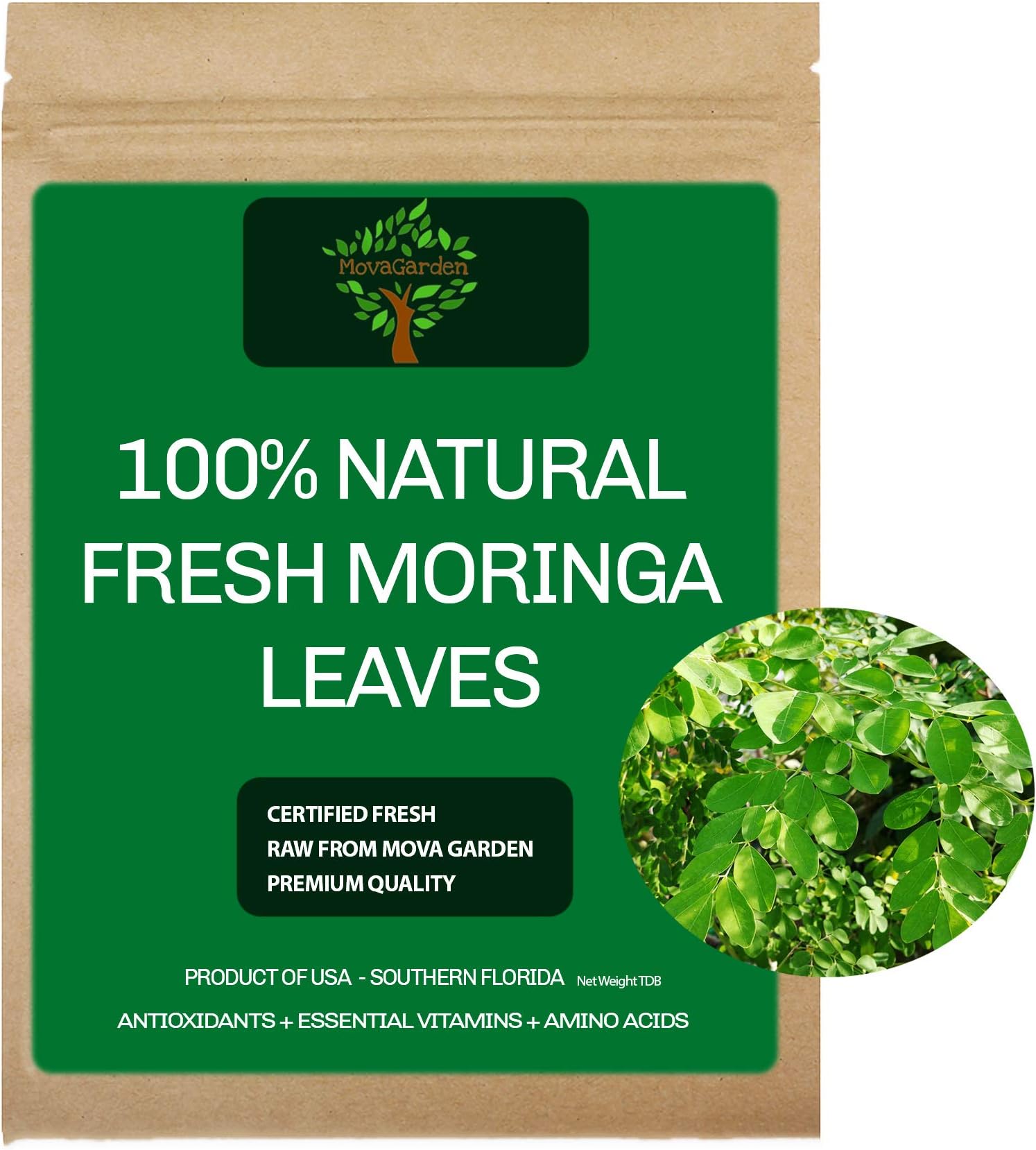 Fresh Moringa Leaves, Qty 2oz Natural Partially Dried, Product of USA