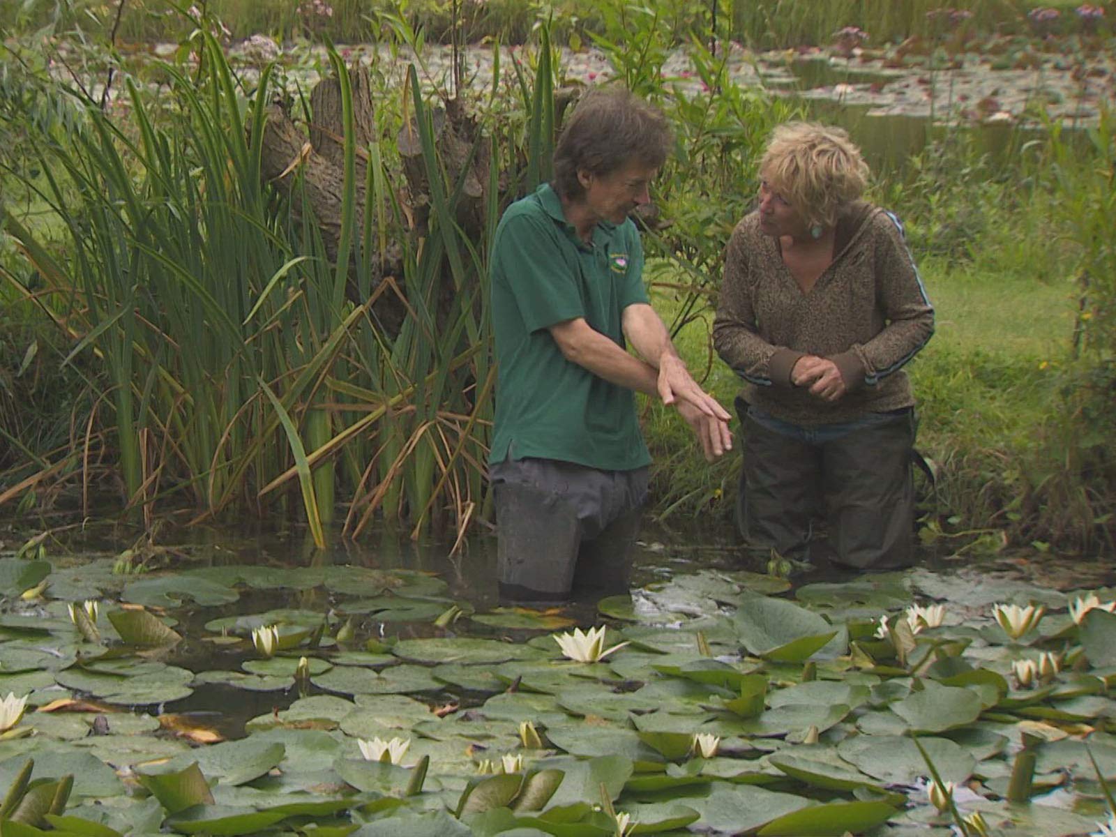 Watch Gardeners' World Season 2 Prime Video