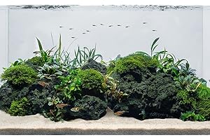 LANDEN Black Lava Stones (16lbs,3~10inch,11pcs) for Aquascaping Terrariums, Paludarium, Vivariums, Reptile and Amphibian Enclosures