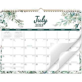 Amazon Best Sellers: Best Wall Calendars