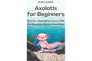 Axolotls for Beginners – Species Appropriate Care for the Mexican Water Monsters